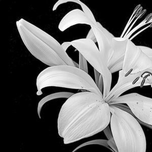 Meet your Posher, Stacy